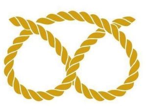 Supporting image for story: Staffordshire Leaders’ Board meets for the first time