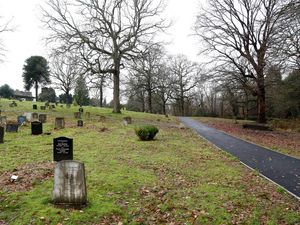 Supporting image for story