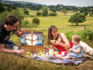 Supporting image for story: Socially distanced picnics down on the farm for Easter holidays