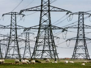 Overhead power cables (Gareth Fuller/PA)