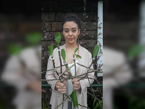 Supporting image for story: Market Drayton stickman trail to keep youngsters entertained during holiday break