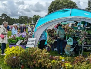 Cholmondeley Castle Gardens Summer Plant Hunters' fair