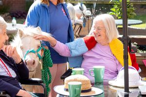 Moomin enjoying time in the sunshine with the residents at HorseFair