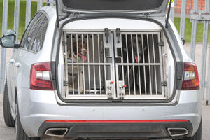 Sniffer dogs were also brought in. Photo: SnapperSK