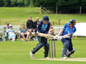 Supporting image for story: Shropshire outclassed in showcase