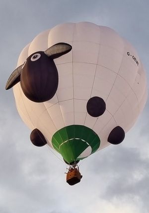 Pictures of balloons taken at the fiesta by Jase Garton before during the afternoon