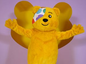 Supporting image for story: BBC Children In Need raises more than £39m after star-studded live show
