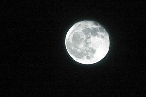 And the moon's in focus too – Star reader Marcus Watkin took this snap