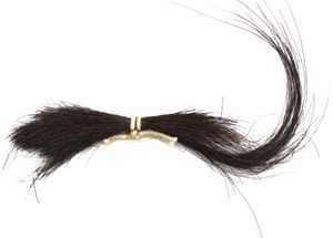 The forelock of William Simpson’s army horse. Picture: Soldiers of Shropshire Museum Collection. 
