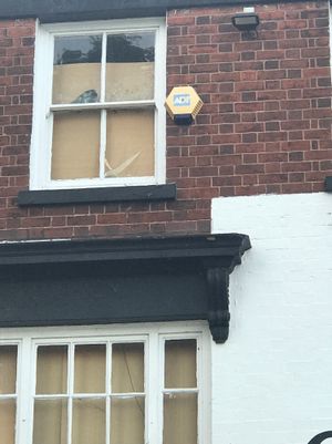 A pigeon trapped in a disused pub in Willenhall has been rescued by the RSPCA and released back into the wild.