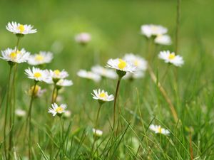 Supporting image for story: Wildlife haven to become nature reserve
