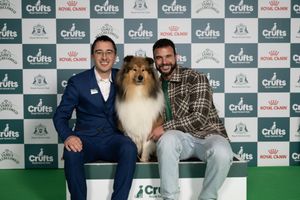Javi Perez and Josep Paura, from Spain, with Anakin, a Collie (Rough), which was the Best of Breed winner today (05.03.26), the first day of Crufts 2026.


