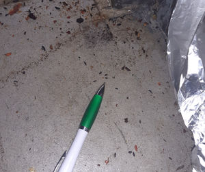 Mouse droppings were found at the premises