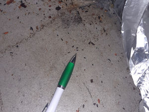 Supporting image for story: Discovery of mouse droppings sees Walsall wedding caterer hit with hefty environmental health fine