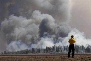 Supporting image for story: Blog: In the middle of the worst wildfires on record