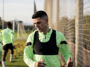 Tom Rogic being put through his paces (WBA)