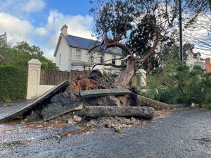 Supporting image for story: More than 280,000 without power in NI after Storm Eowyn batters region