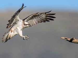 Supporting image for story: £1.1 million nature reserve visitor centre gets go-ahead