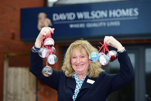 Supporting image for story