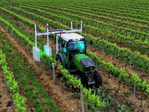 Supporting image for story: Largest vineyard in Shropshire is first to have a UV machine