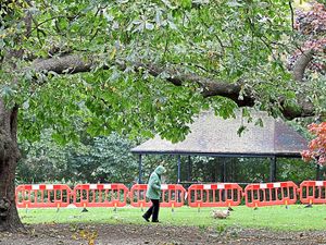 Supporting image for story: People urged to avoid touching sick birds in Dudley after avian flu outbreak confirmed