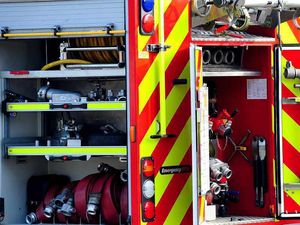 Supporting image for story: Telford firefighters rescue horse trapped in wire