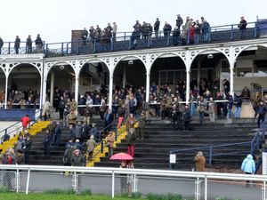 Supporting image for story: Thousands of us behind scenes ensure The Horse Comes First
