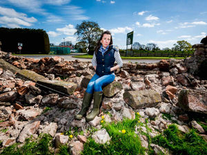 Supporting image for story: Pictures: Anger as vehicle smashes large hole in wall at Shropshire farm