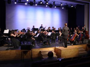 Supporting image for story: Shropshire school entertains with a 'magical' music performance