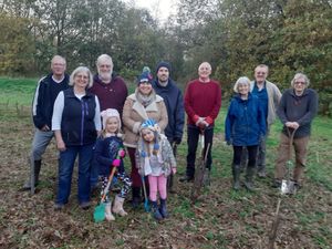 Supporting image for story: Newport volunteers help the environment through tree-mendous work 
