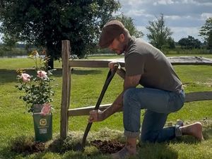 Supporting image for story: Plant it like Beckham – footballing legend tackles re-potting of a David Austin Rose watched by millions of followers