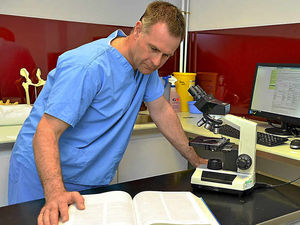 Supporting image for story: Shropshire dog's death sparks warning on disease