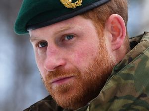 Supporting image for story: Harry meets Canadian soldiers ahead of Remembrance Day