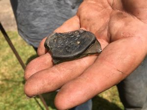 A seal discovered during the dig