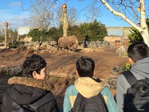 Supporting image for story: Students go wild for learning at Chester Zoo