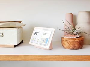 Supporting image for story: Google Nest Hub display feature inspired by bats and dolphins