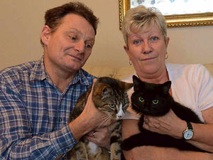Supporting image for story: Antifreeze warning after Telford family's pet cats die in suspected poisoning