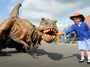 Supporting image for story: What's for dinner? Day a T-Rex came to Telford primary school