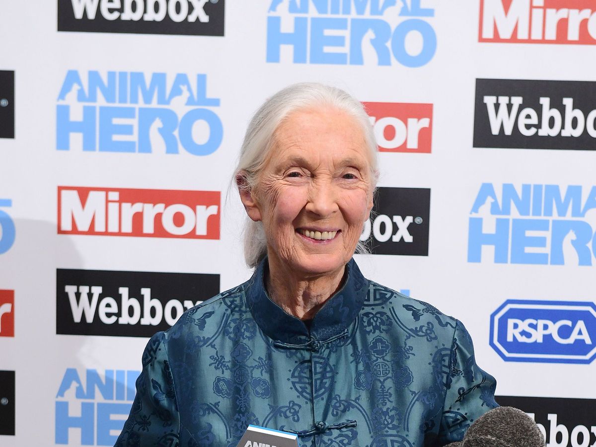 William hails Jane Goodall for &lsquo;challenging us all to make a difference&rsquo;