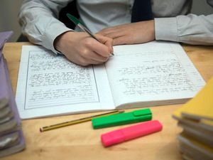 Supporting image for story: Pupils ready to step into unknown as schools prepare for reopenings