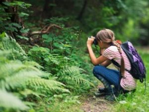 Supporting image for story: Born Free photographer competition for children