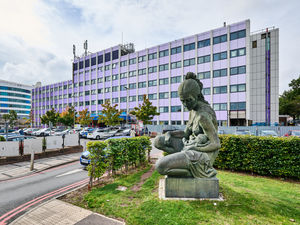 Supporting image for story: Research in Birmingham aiming to prevent low iron in pregnancy