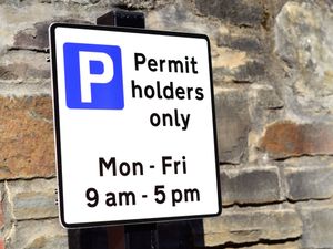 Supporting image for story: Diesel car drivers charged up to £250 more per year to park near their home