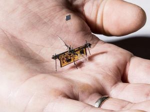 Supporting image for story: This insect-sized wireless robot flies with help of lasers