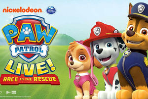 Supporting image for story: PAW Patrol LIVE! coming to Birmingham