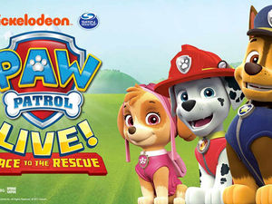 Supporting image for story: PAW Patrol LIVE! coming to Birmingham