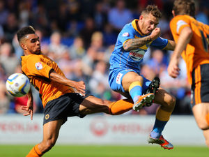 Supporting image for story: Shrewsbury Town v Wolves: Five memorable meetings
