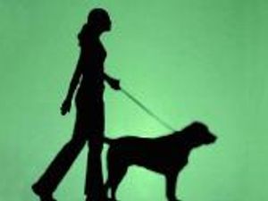 Supporting image for story: Dog poo in bags has been thrown into a Powys care home’s garden or left on a high street