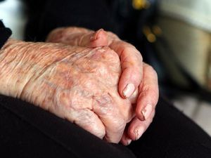 Supporting image for story: Researchers have found two genes that are linked to Alzheimer’s risk