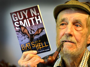 Supporting image for story: Has Guy's horror novel about bats come true?